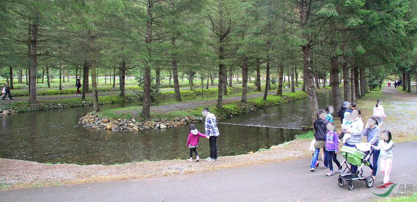 �˹�����������,һƬƽ̹���������~����