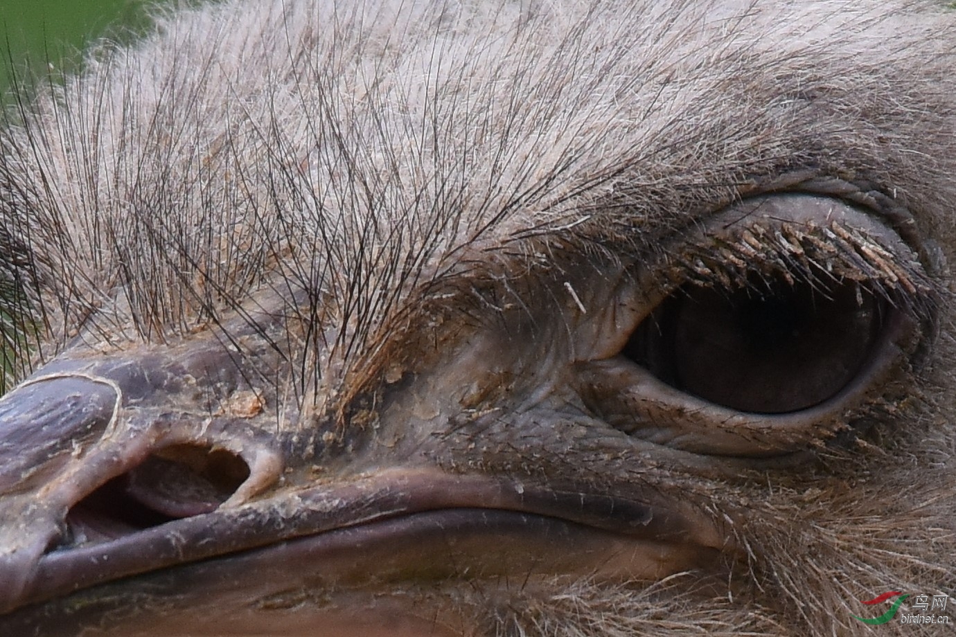 001.jpg