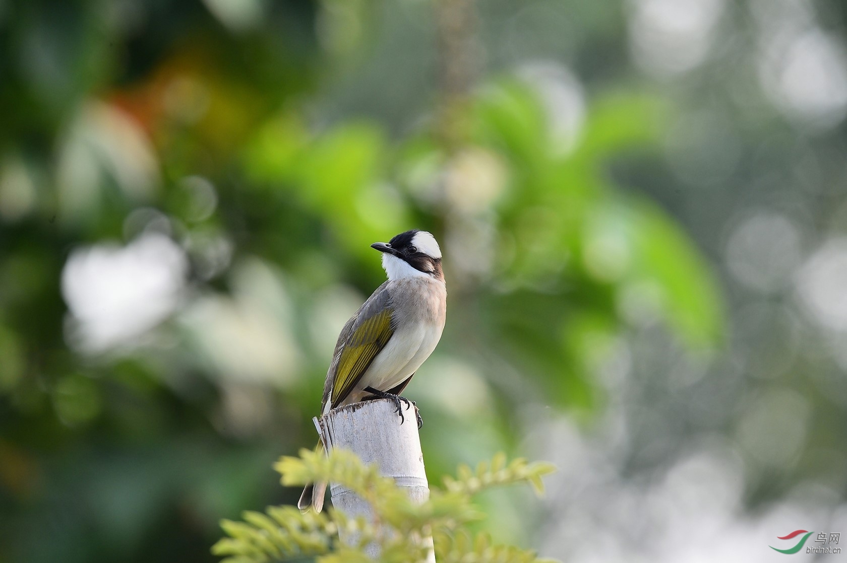 DSC_9820.jpg