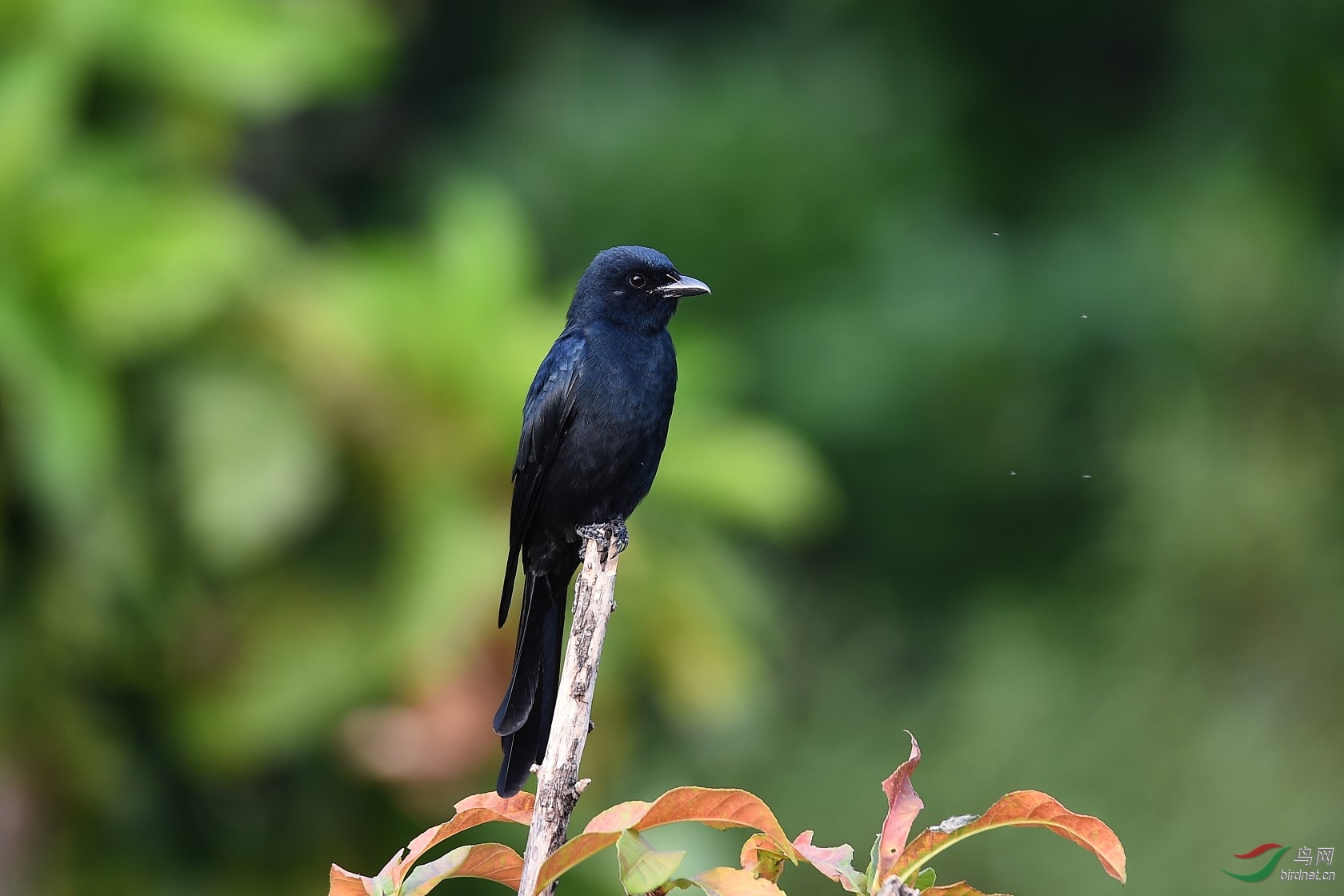 DSC_0473.jpg