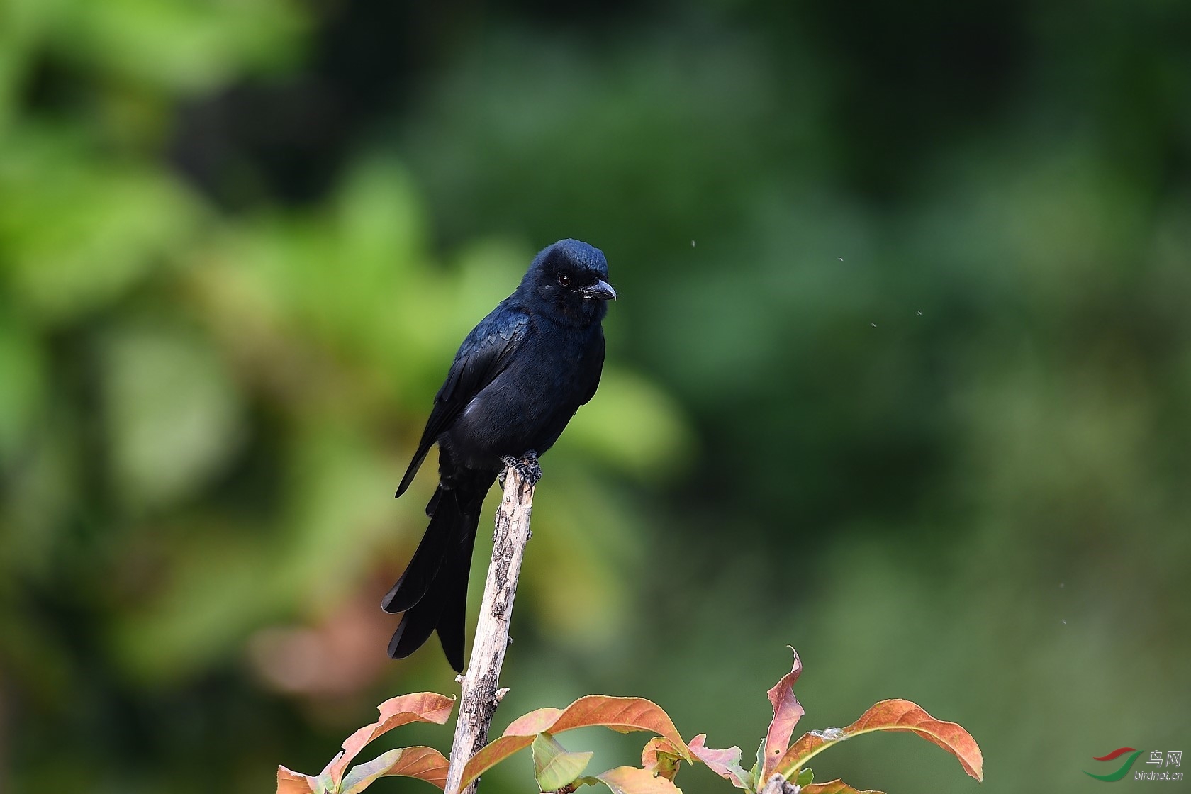 DSC_0492.jpg