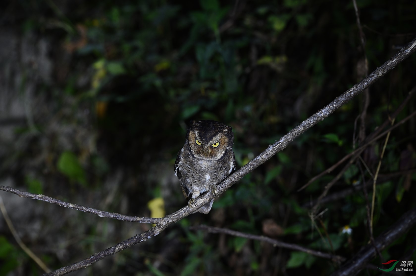 DSC_0773.jpg