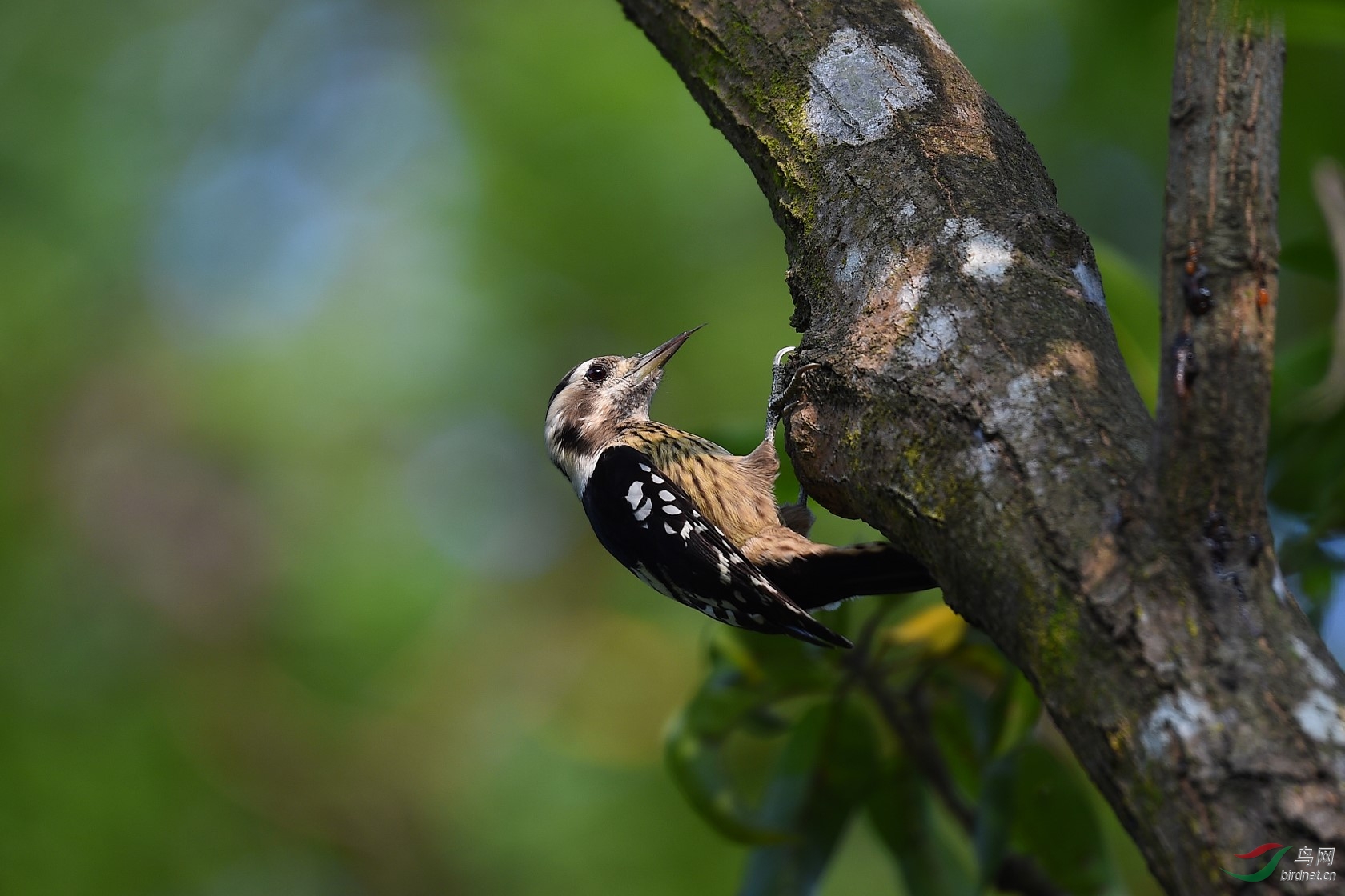 DSC_1060-2.jpg