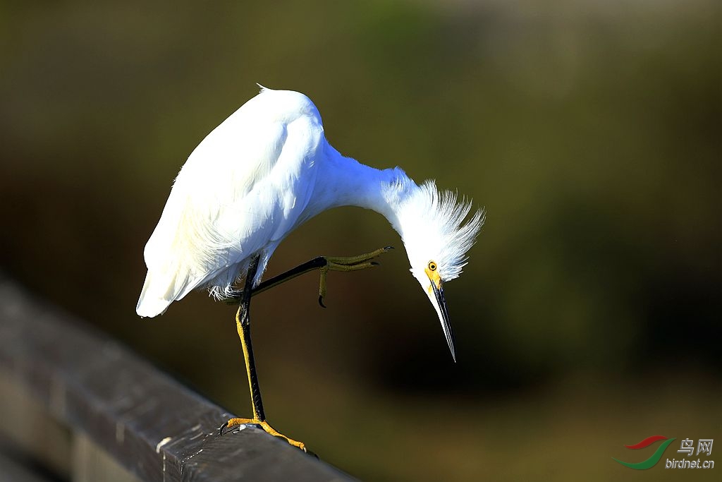 һ��������ʱ��