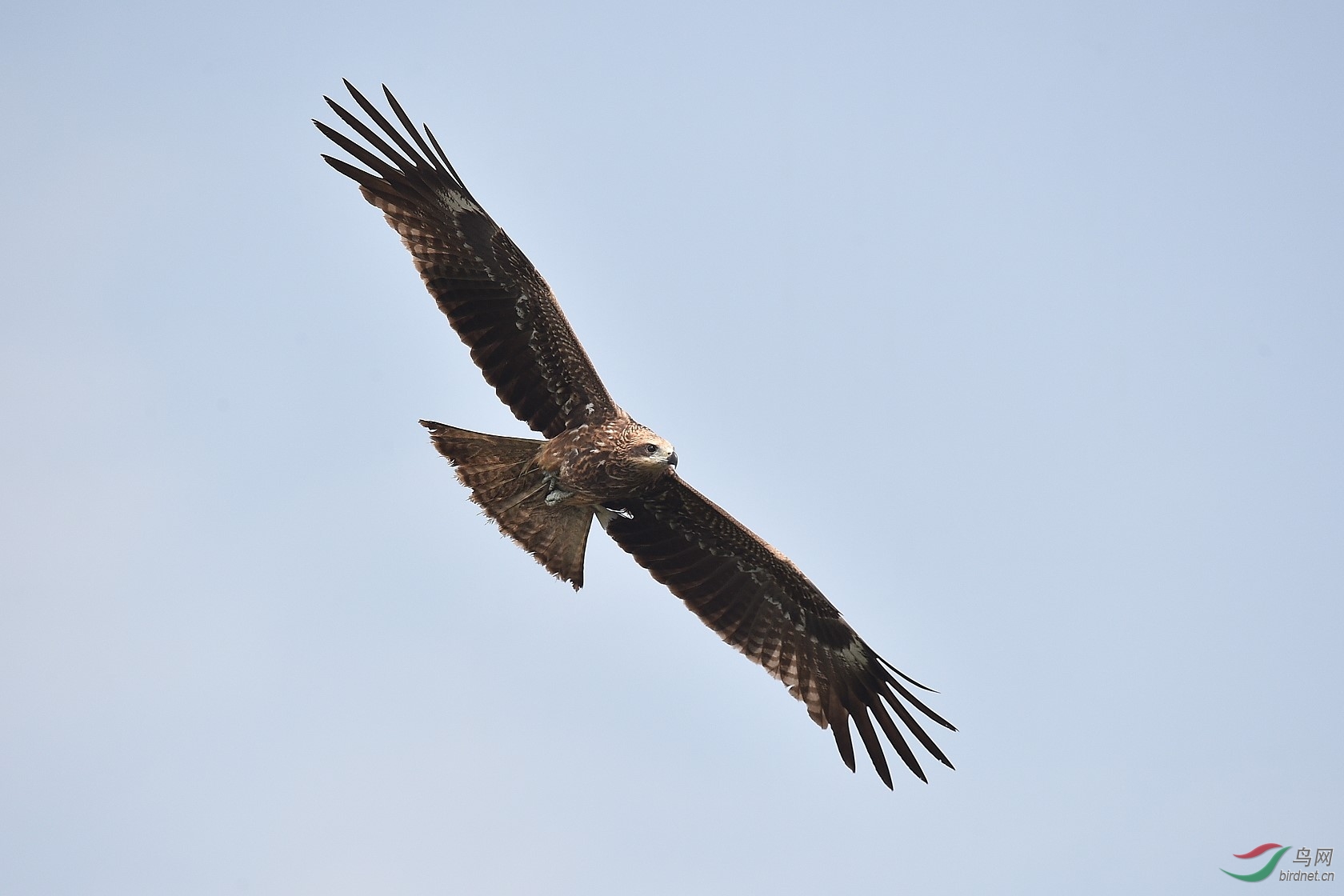 DSC_3240.jpg