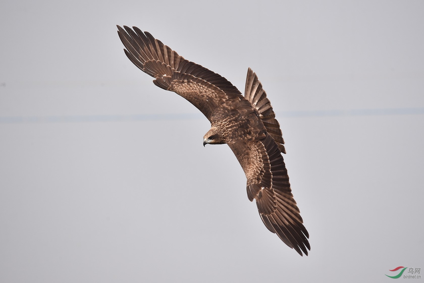 DSC_4272.jpg