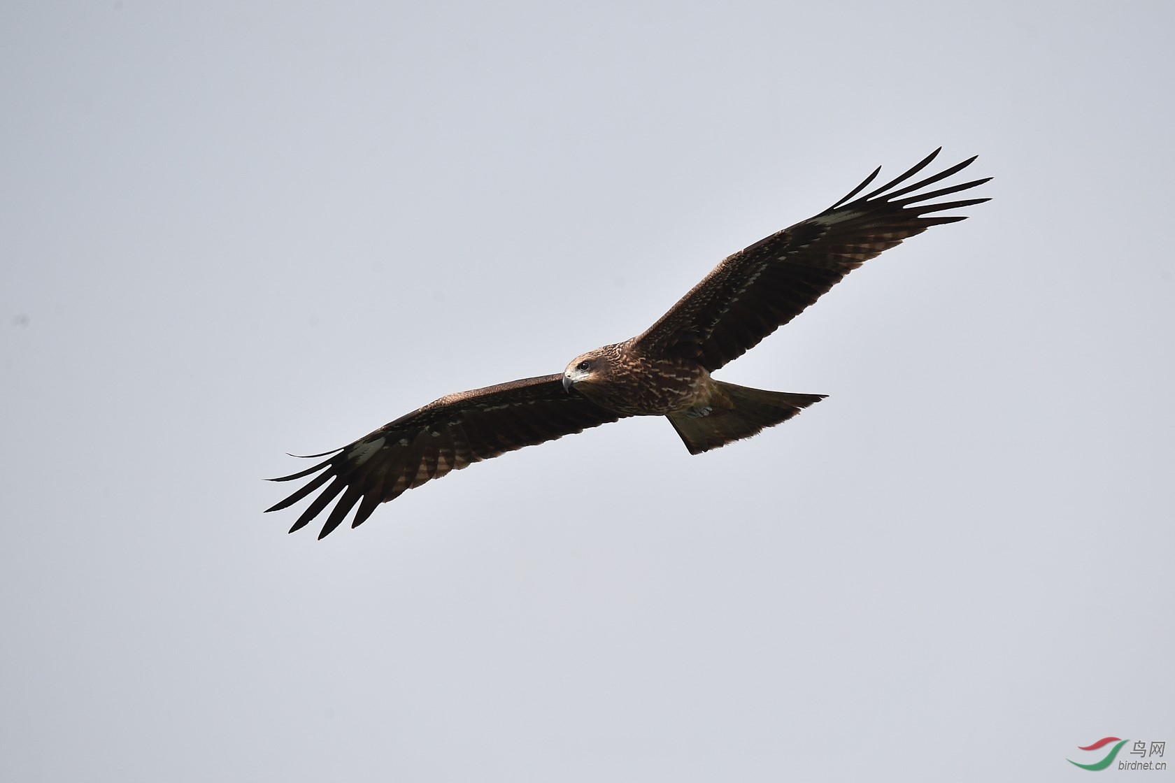DSC_4257.jpg