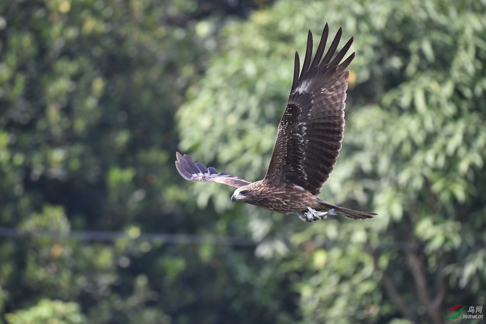 DSC_5196.jpg