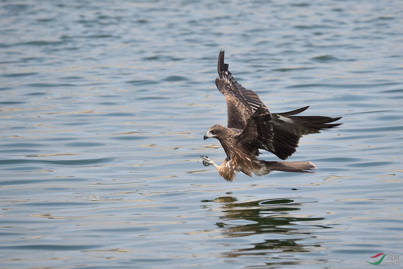 DSC_2979.jpg