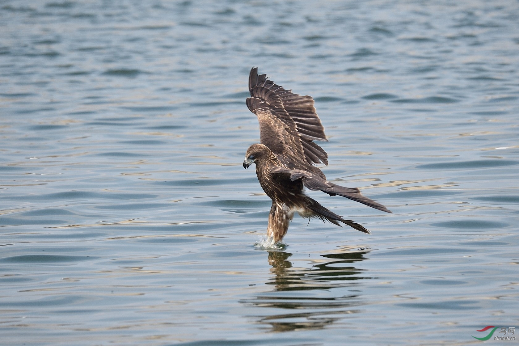 DSC_2980.jpg