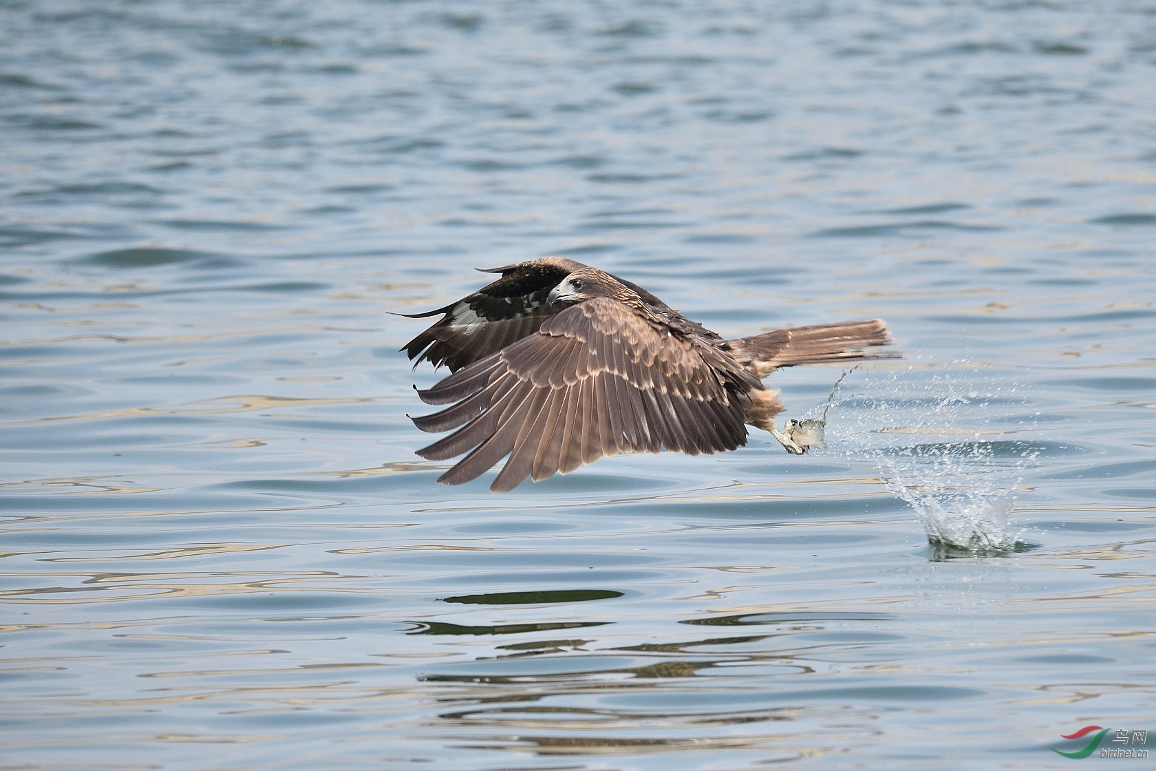 DSC_2981.jpg