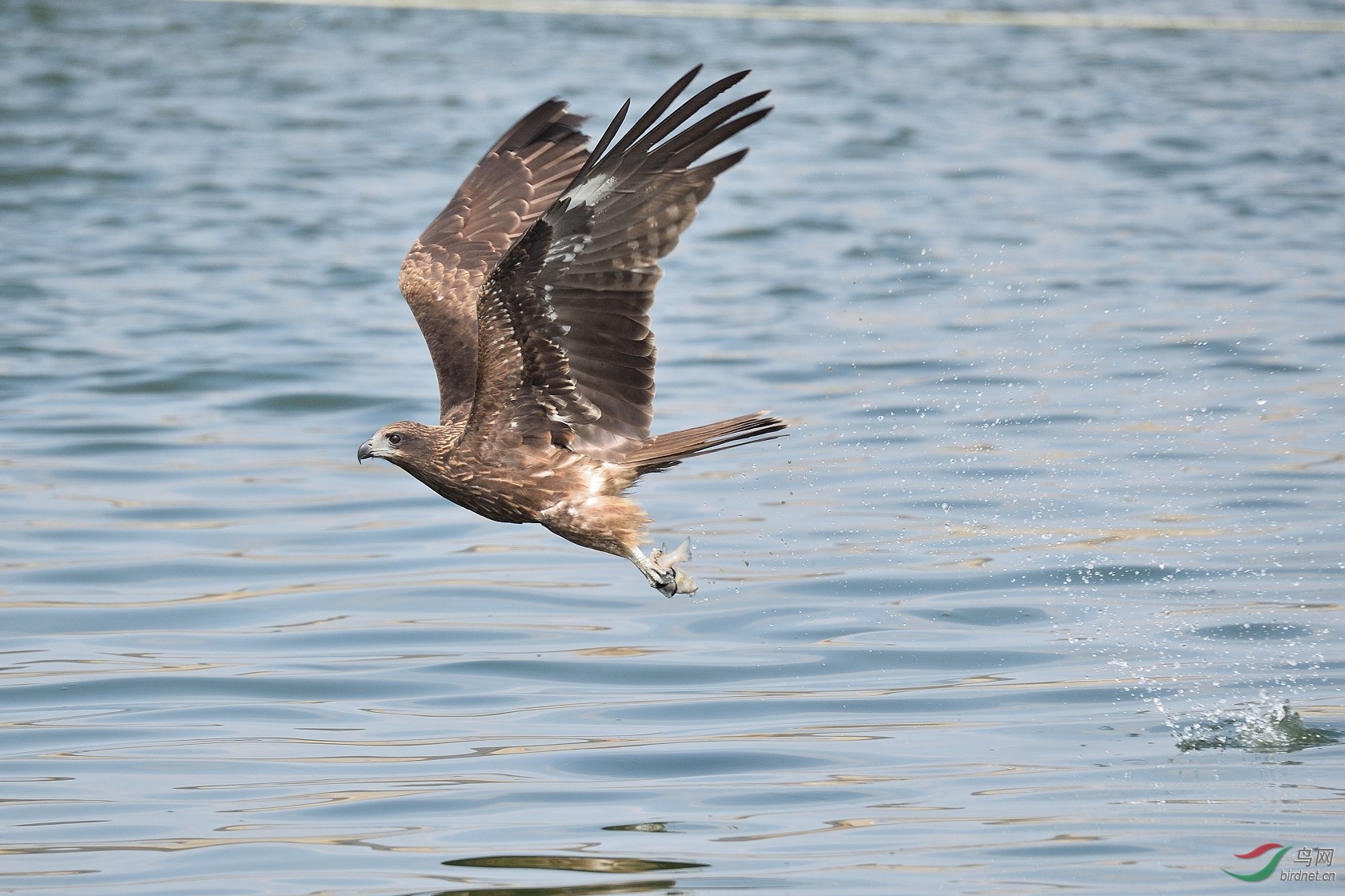 DSC_2982.jpg