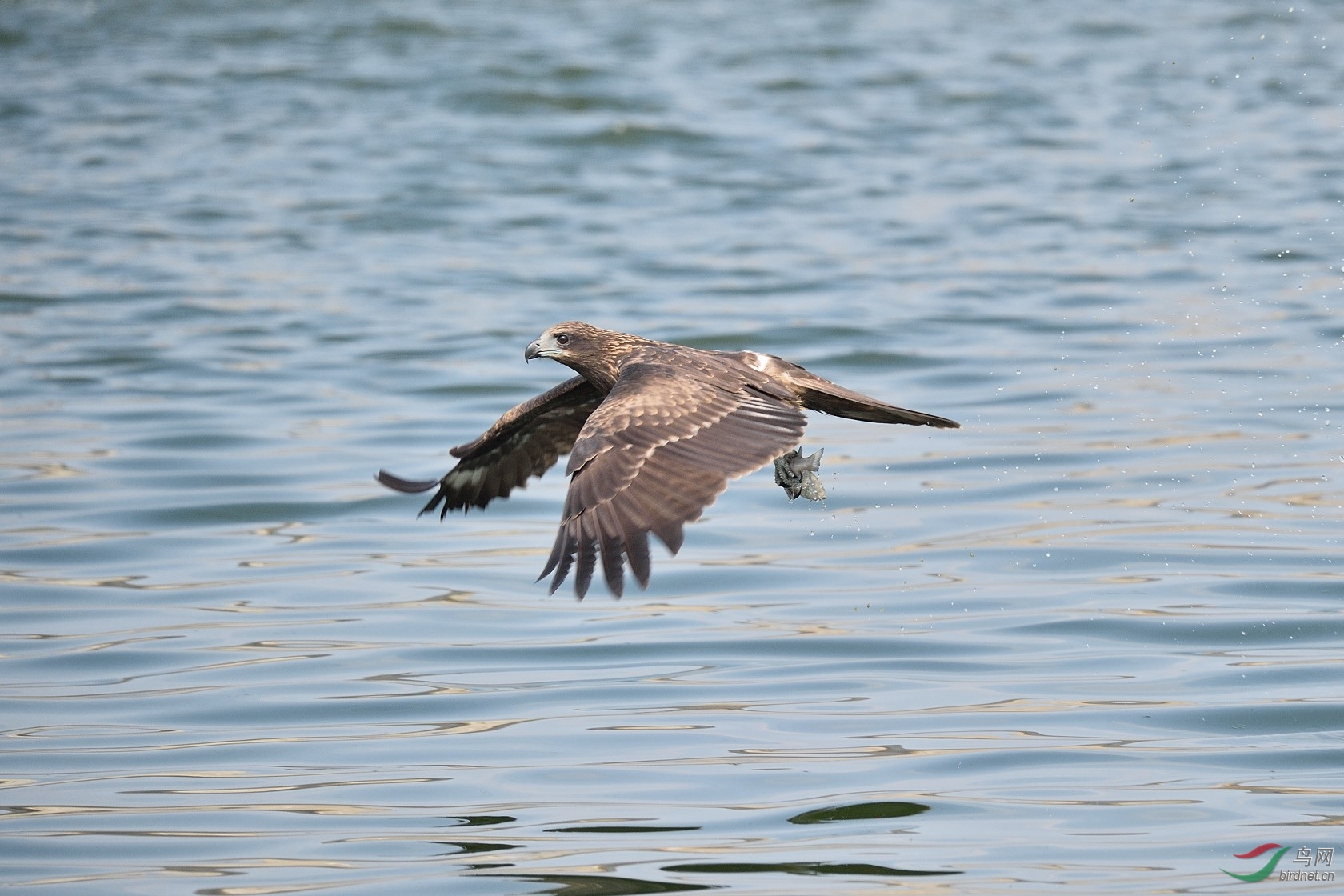 DSC_2983.jpg