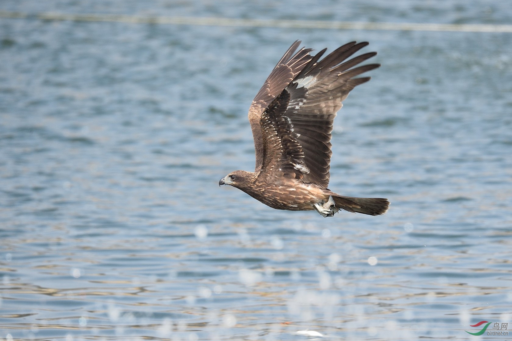 DSC_2984.jpg
