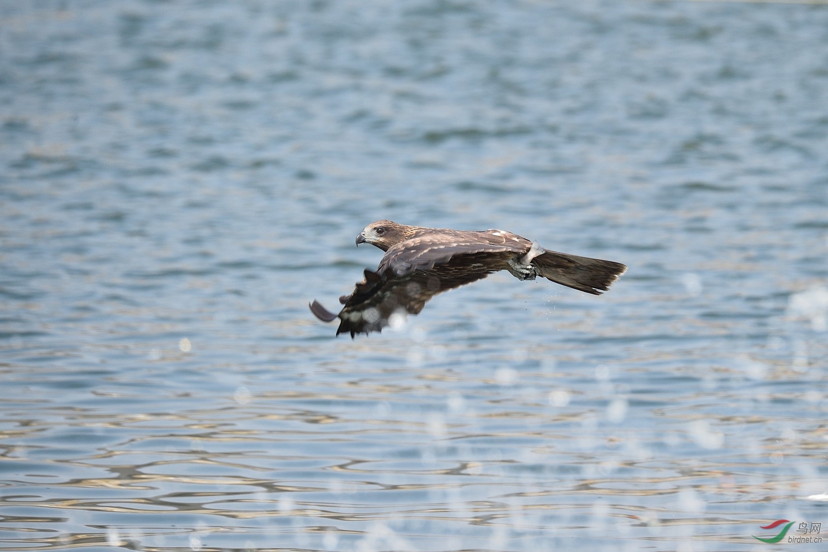 DSC_2985.jpg