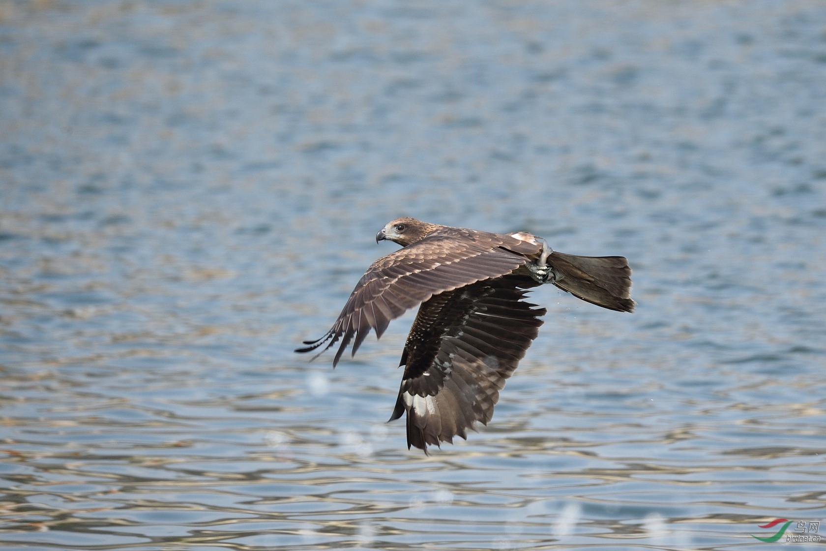 DSC_2986.jpg