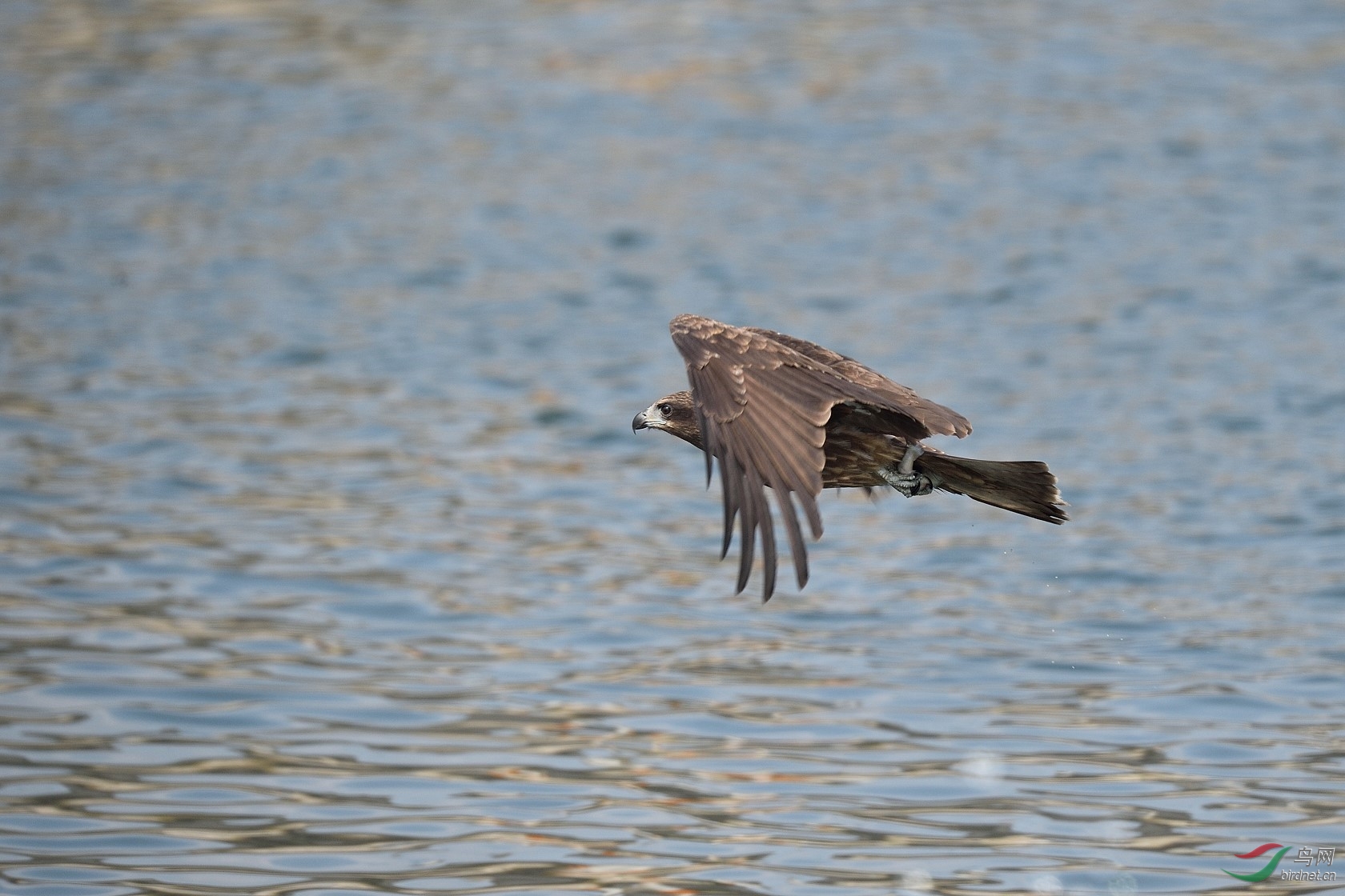 DSC_2987.jpg