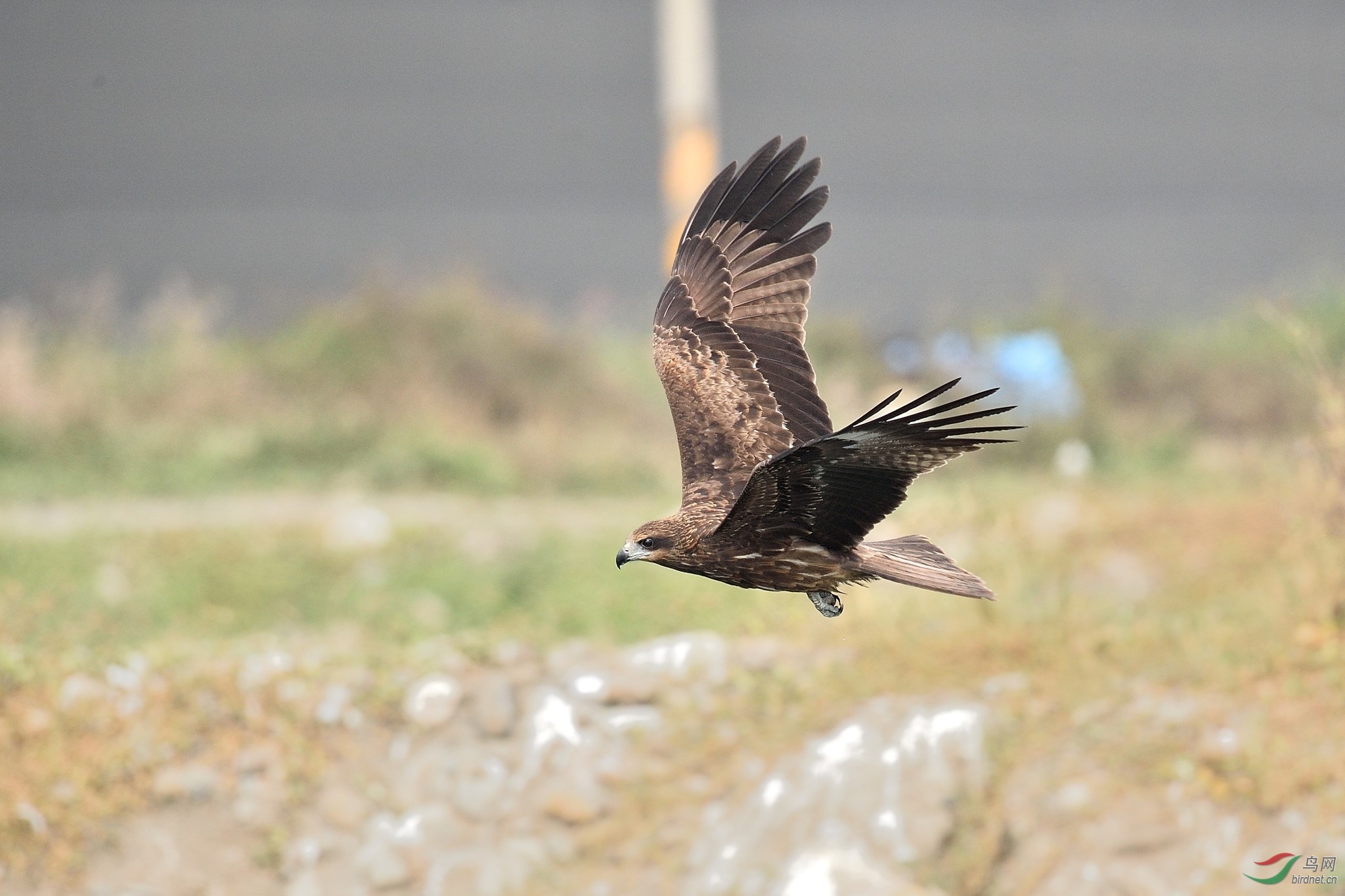 DSC_4093.jpg