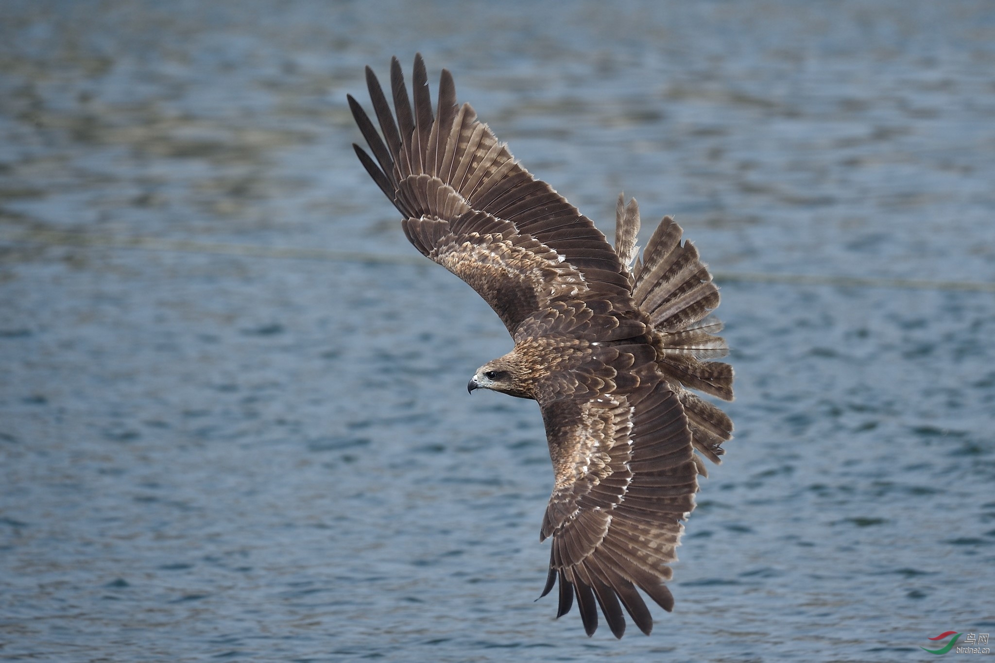 DSC_3646.jpg