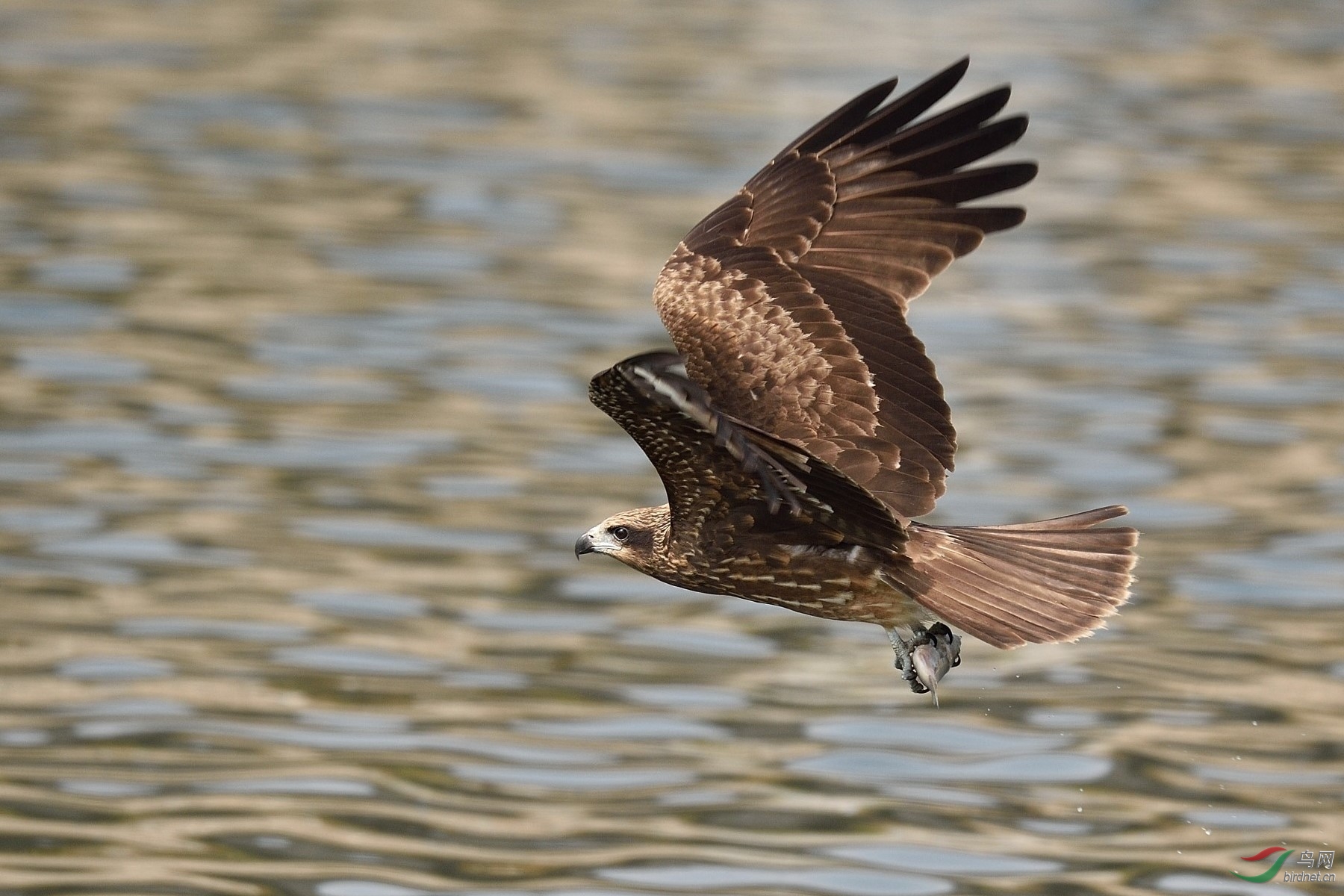 DSC_4283.jpg
