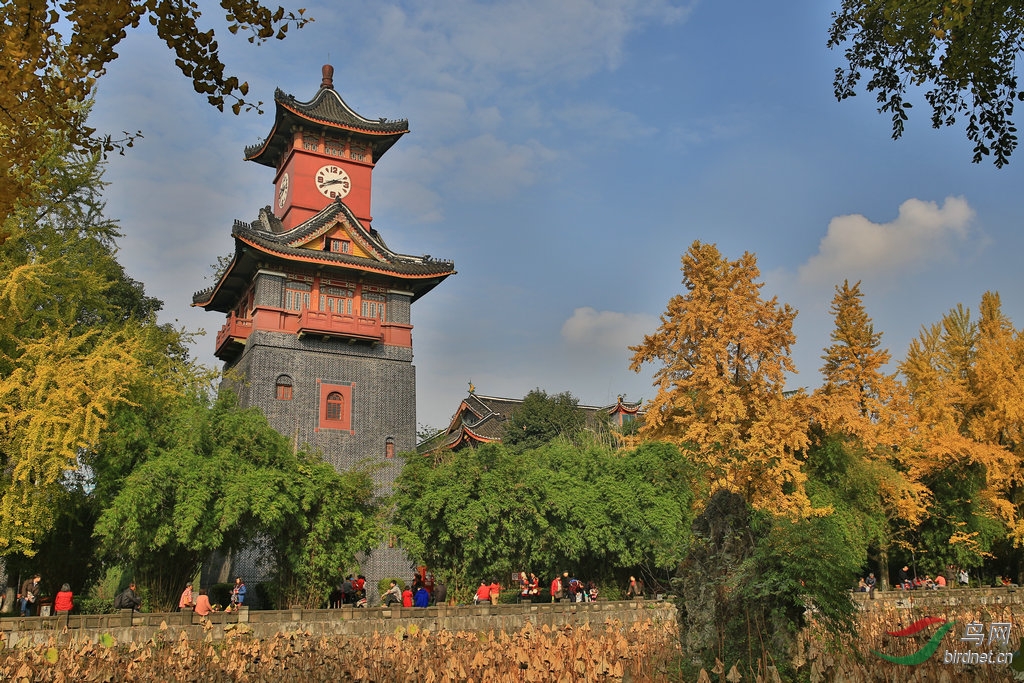 秋韵一华西钟楼随拍