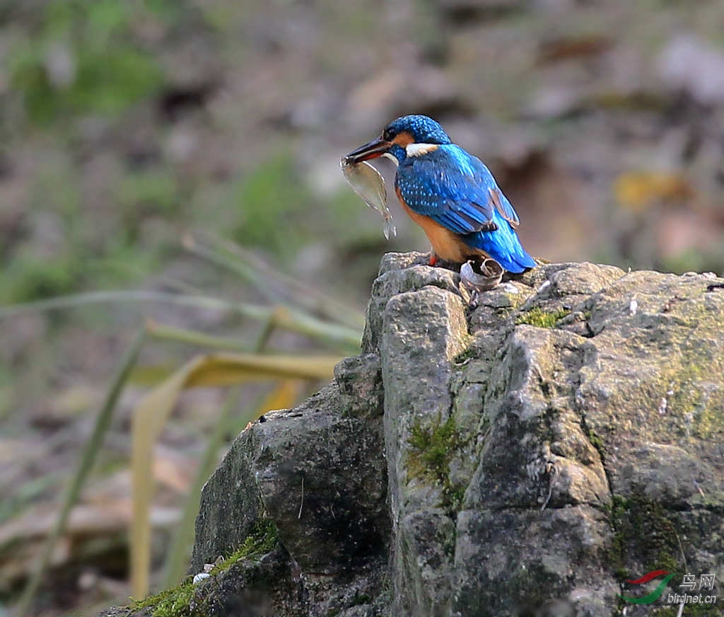 一心不能二用…