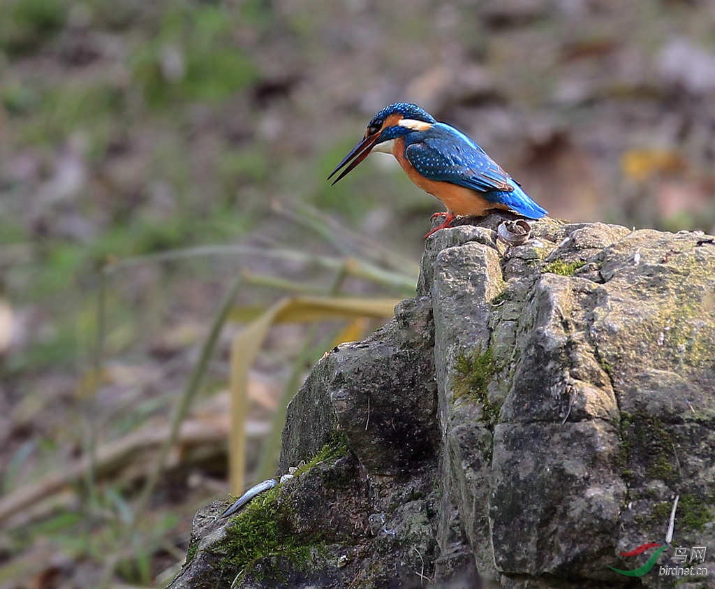 一心不能二用…