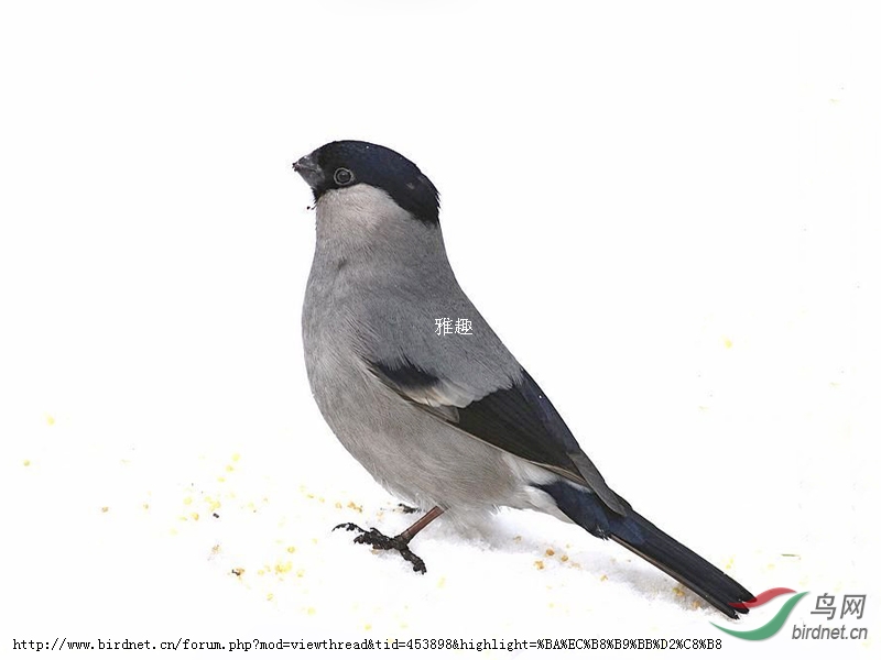 62102081238994.jpg