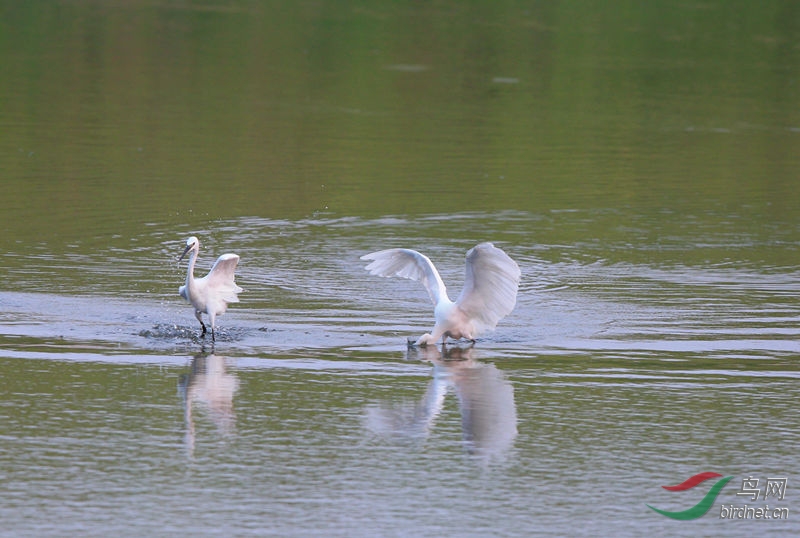 140732s5ky0595ek6fw03k.jpg