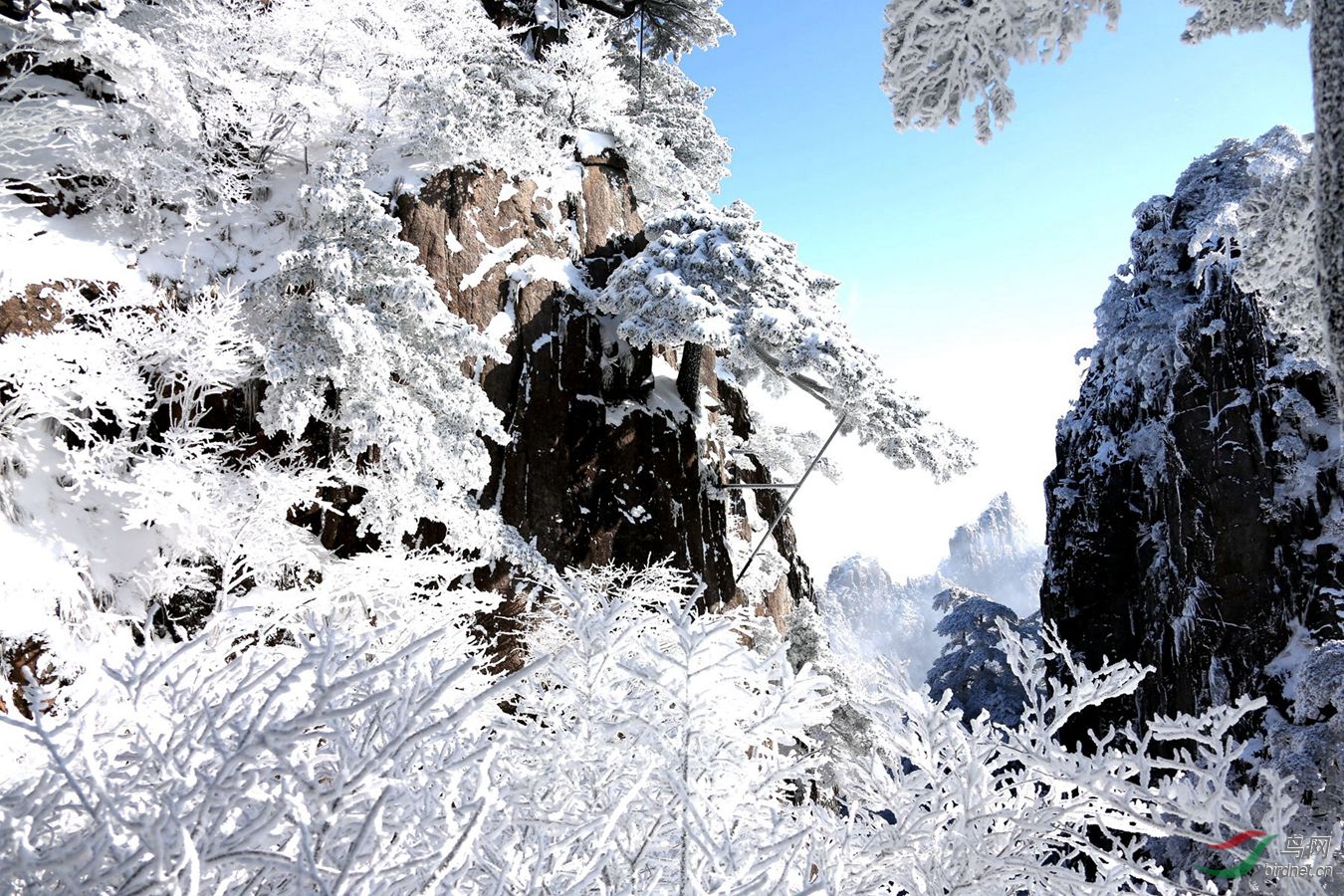 黃山冬雪