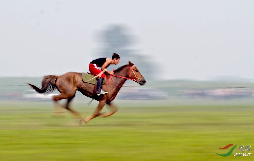 快马加鞭的内蒙板块