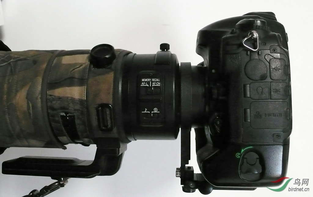 L1030582.jpg