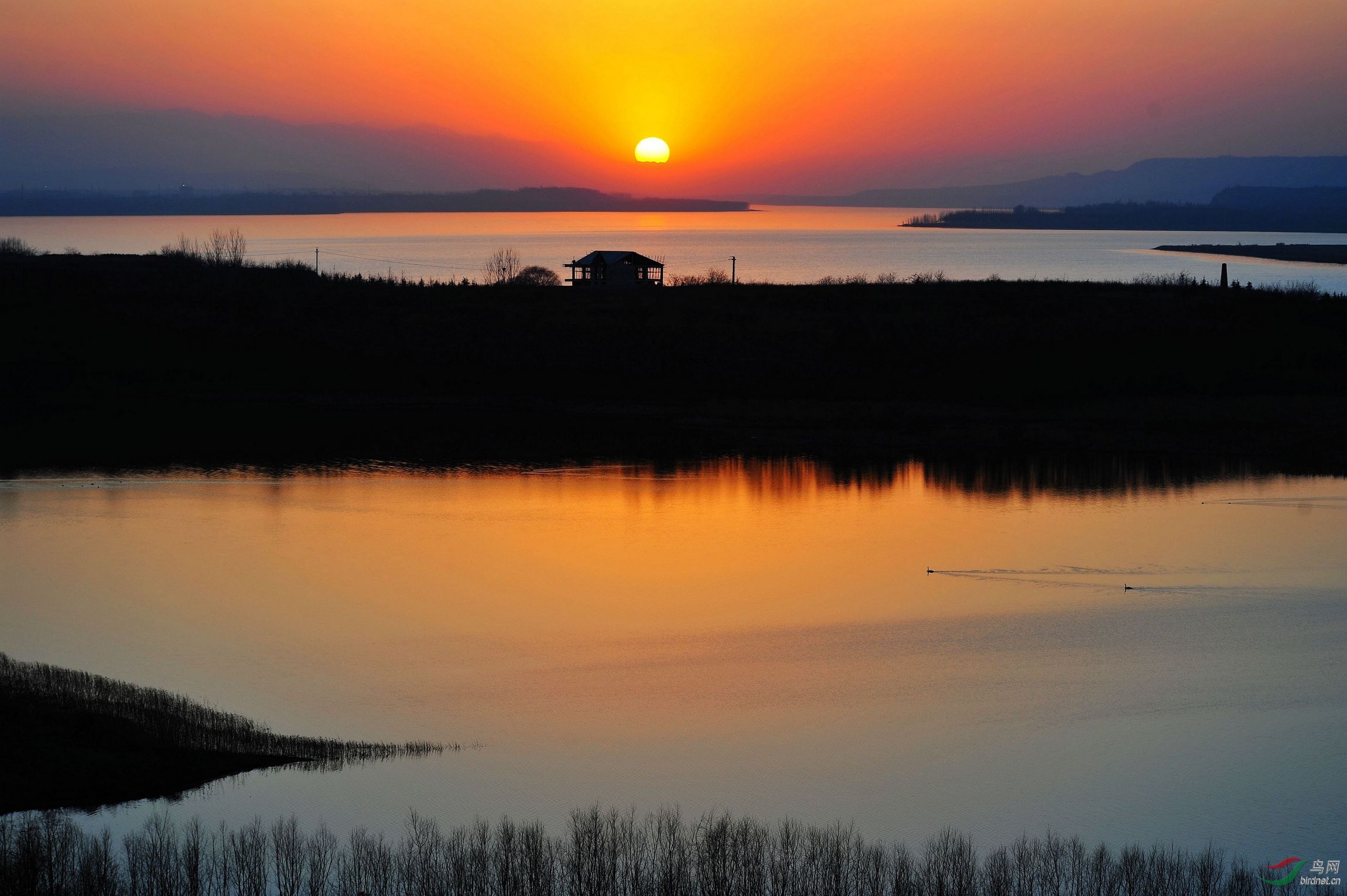 热烈祝贺一轮红日荣升版主——日照母亲河