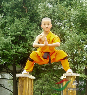 黄苇鳽少林武功之夜叉探海与马步蹲裆黄苇鳽
