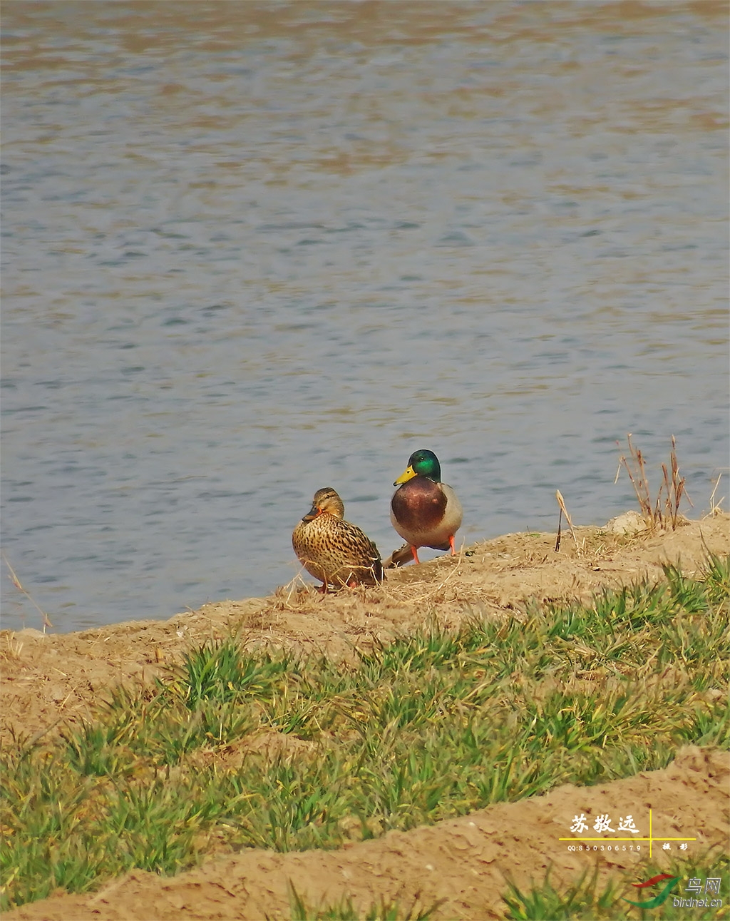 DSCF7596СС.jpg