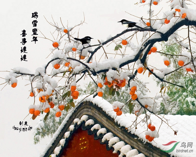 瑞雪丰年 喜事连连 拜早年喽