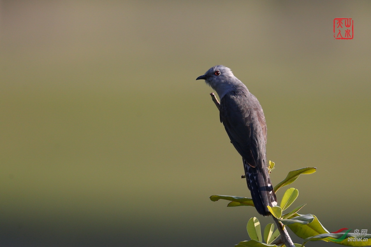 2015.02.06�����Ȼ���������԰���� (194)����.JPG