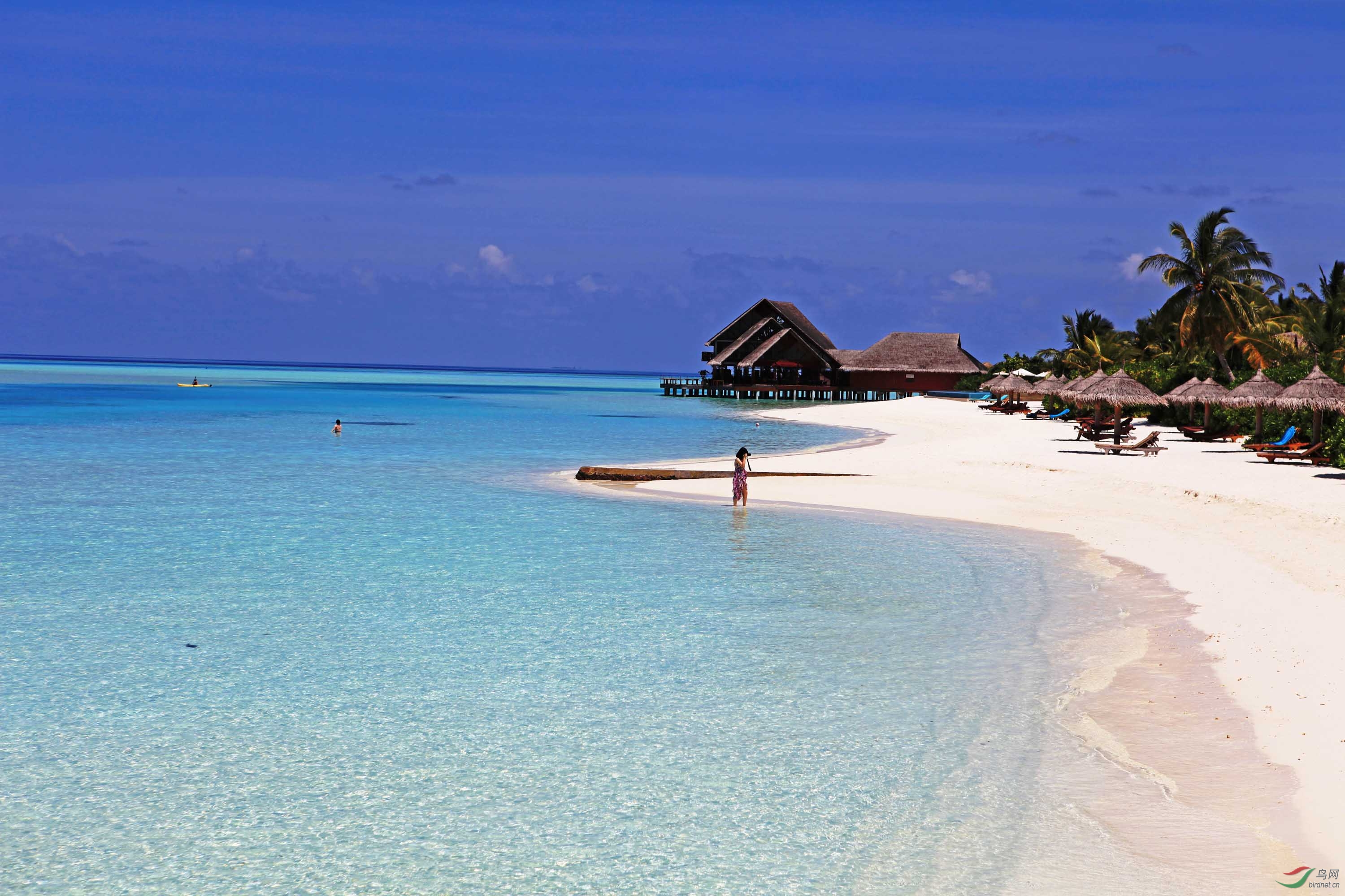 马尔代夫风光 - 地理风光版鸟网
