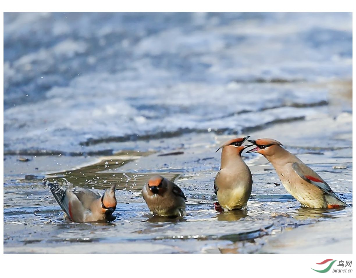 交头接耳小太平