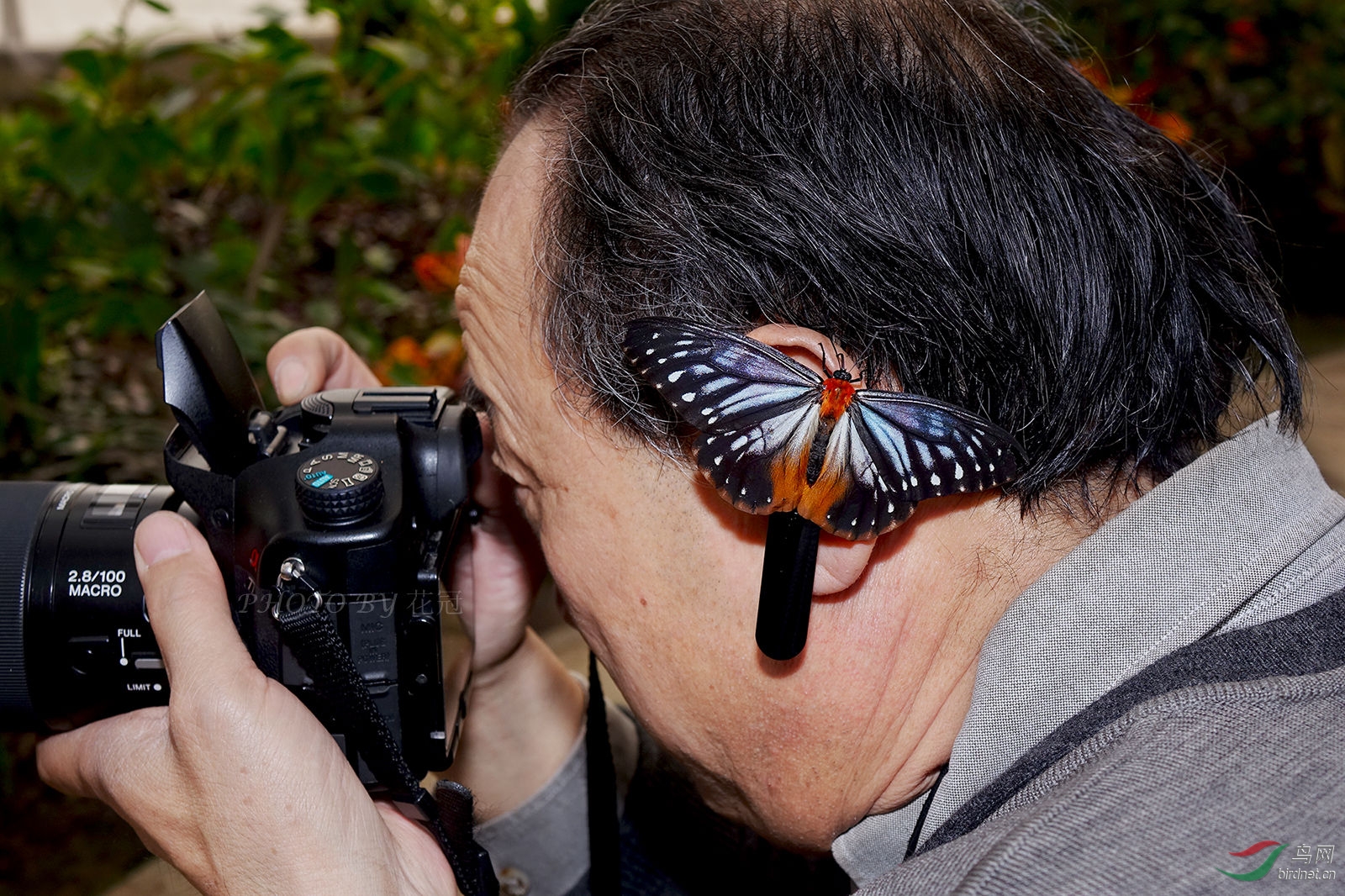 《离开了单反的日子(弃用单反,钟情微单拍摄的照片交流专集)》