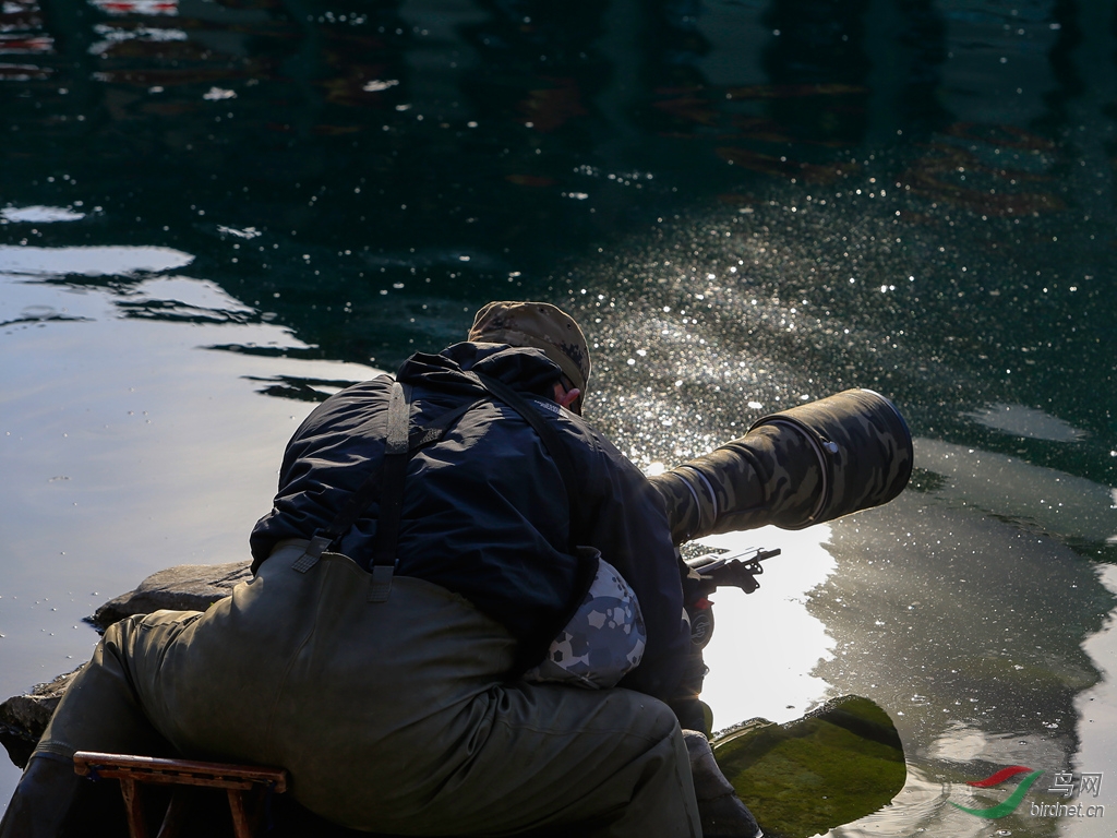 踏水衔鱼-小pt (3)
