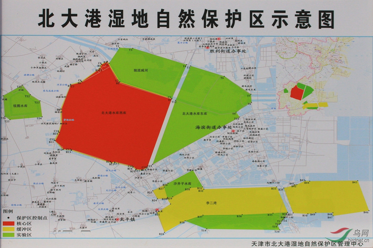 候鸟天堂北大港湿地自然保护区