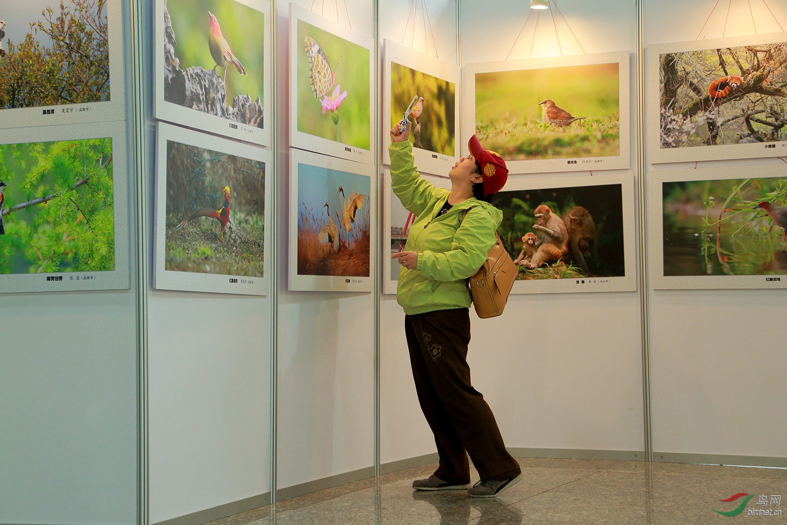 同在蓝天下人鸟共家园影展花絮