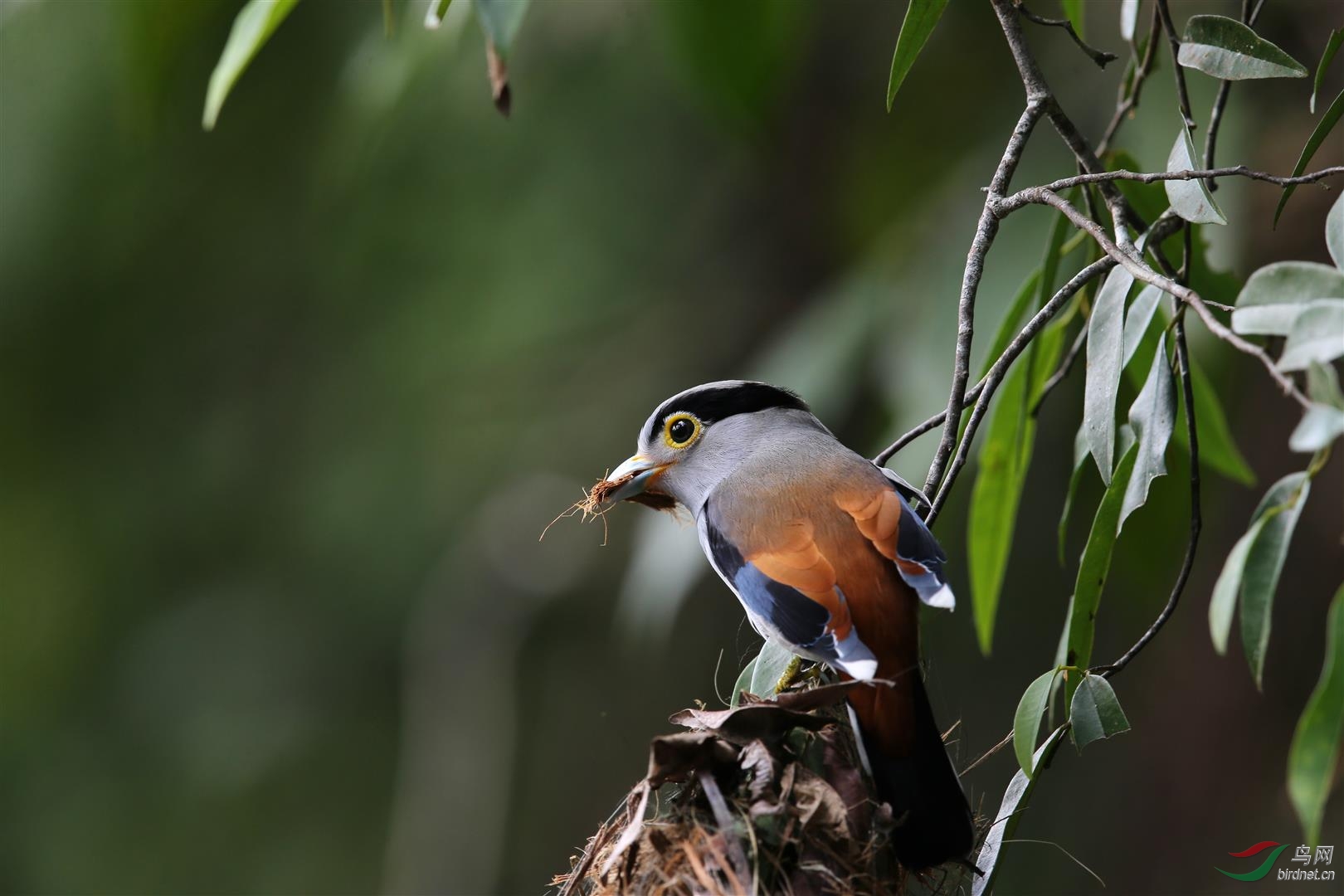 BQ4U6167 (Large).jpg