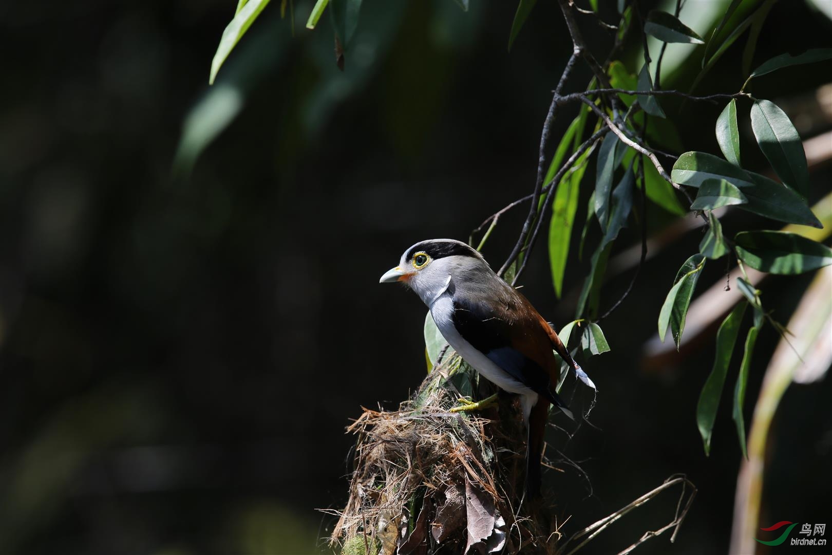 BQ4U6078 (Large).jpg