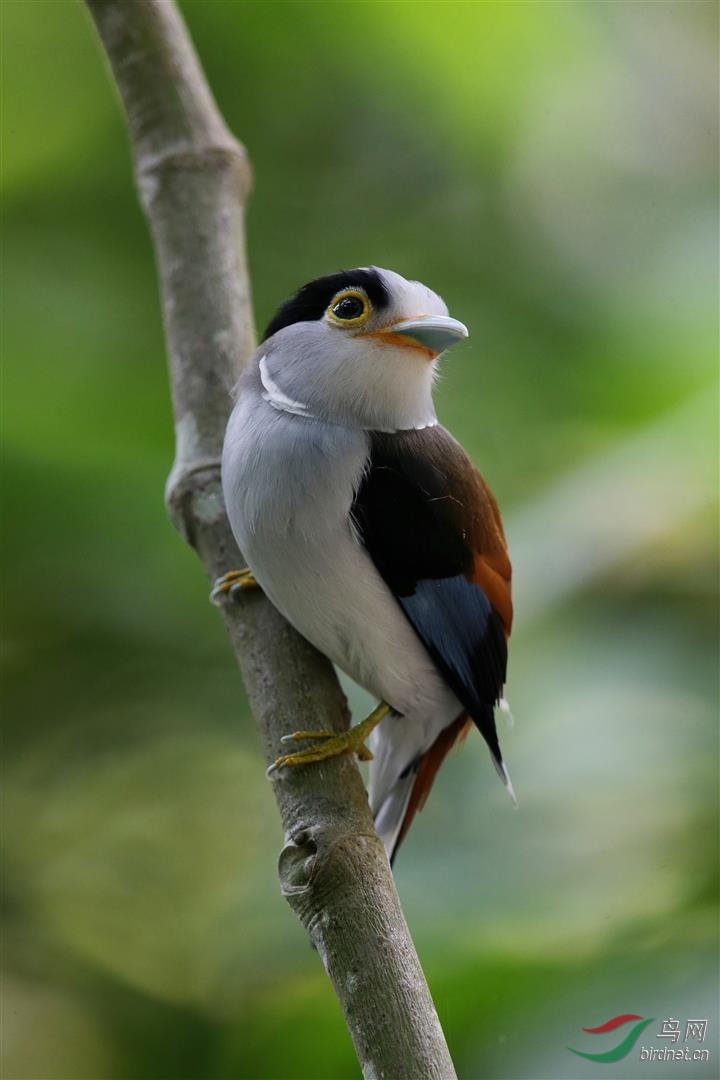 BQ4U6111 (Large).jpg