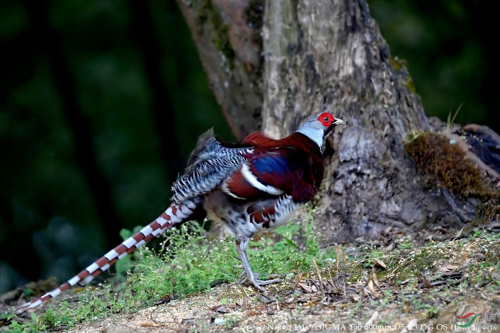 DSC_7473.jpg