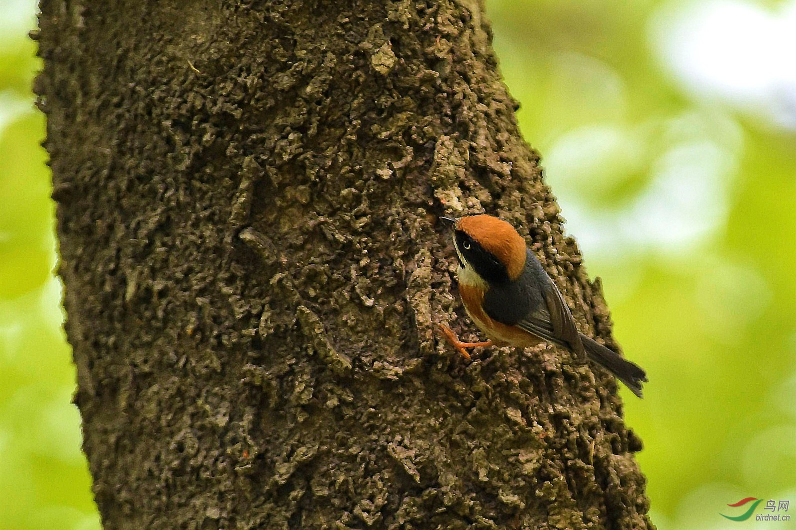dsc9742.jpg