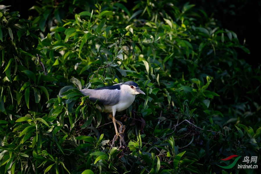 DSC_3669.jpg
