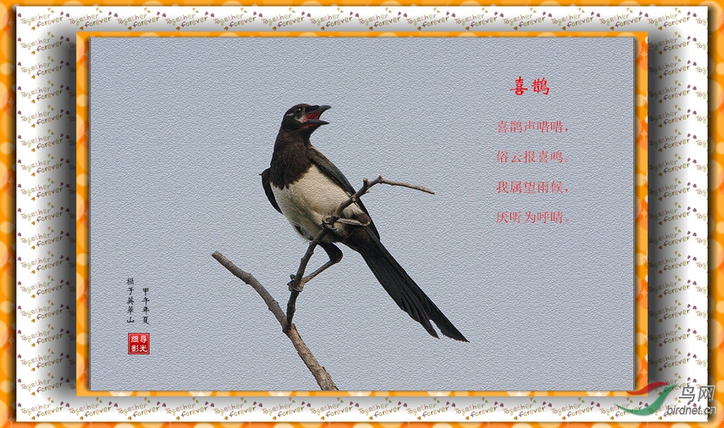 喜鹊登枝曲谱_喜鹊登枝图片
